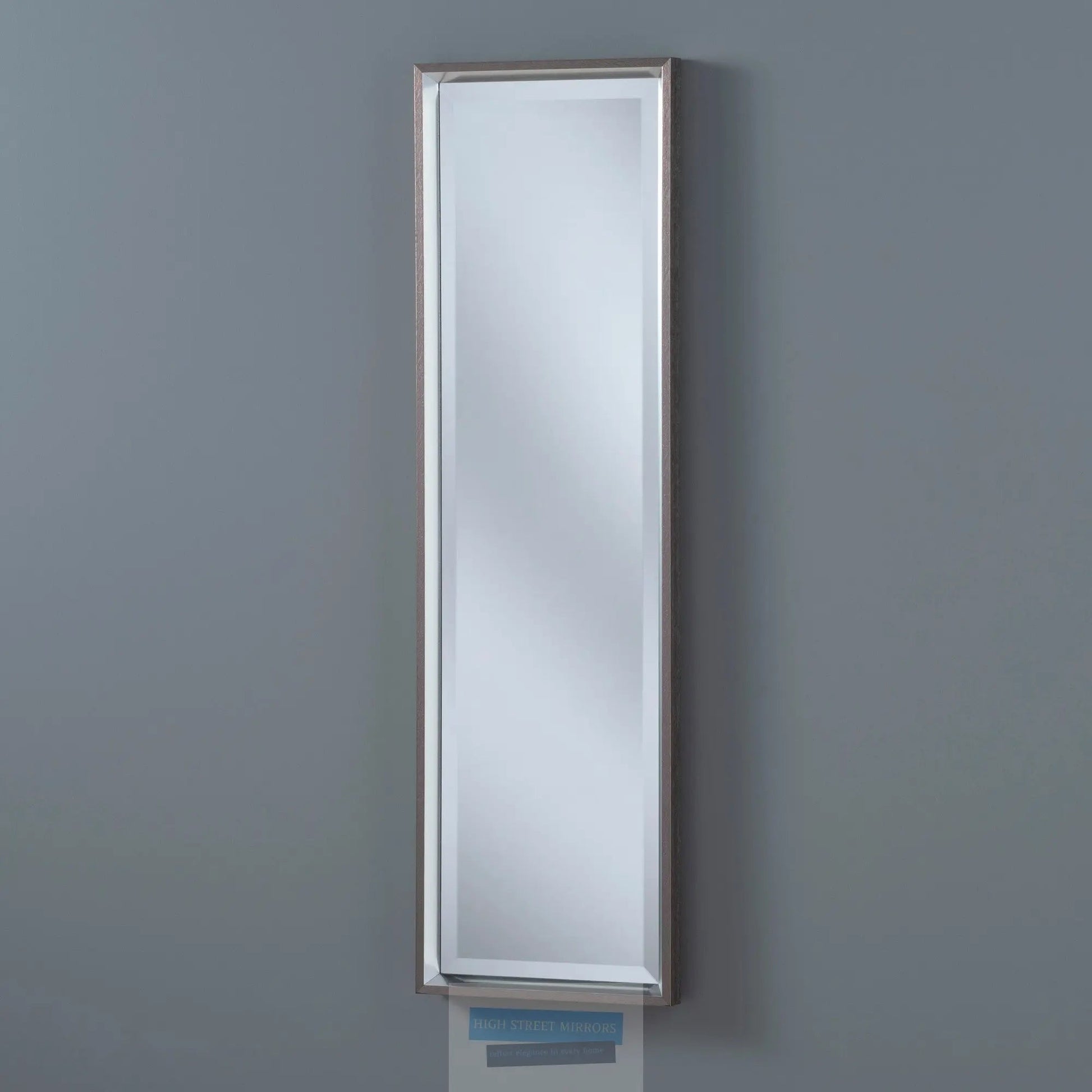 Icon Grey wall Mirror 156cm x 50cm My Store