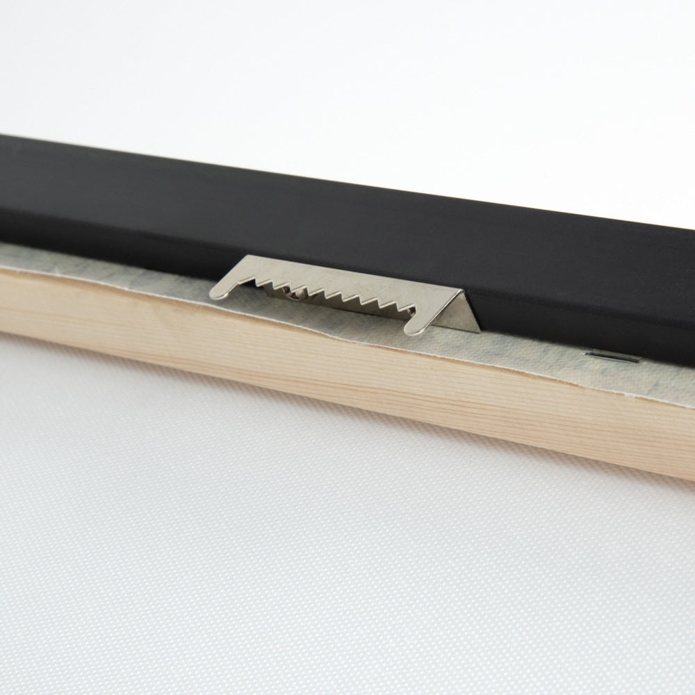 Natural Beauty set of 2 contemporary framed canvases My Store