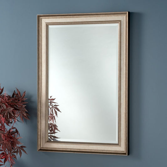 Warwick Silver - Bronze Mix Wall Mirror 9 sizes My Store